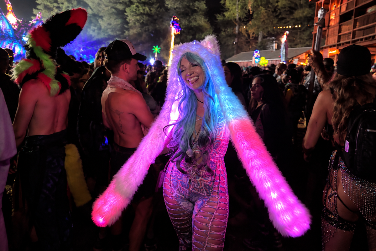 SugarFur in the wild